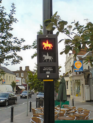 Equestrian crossing lights and button